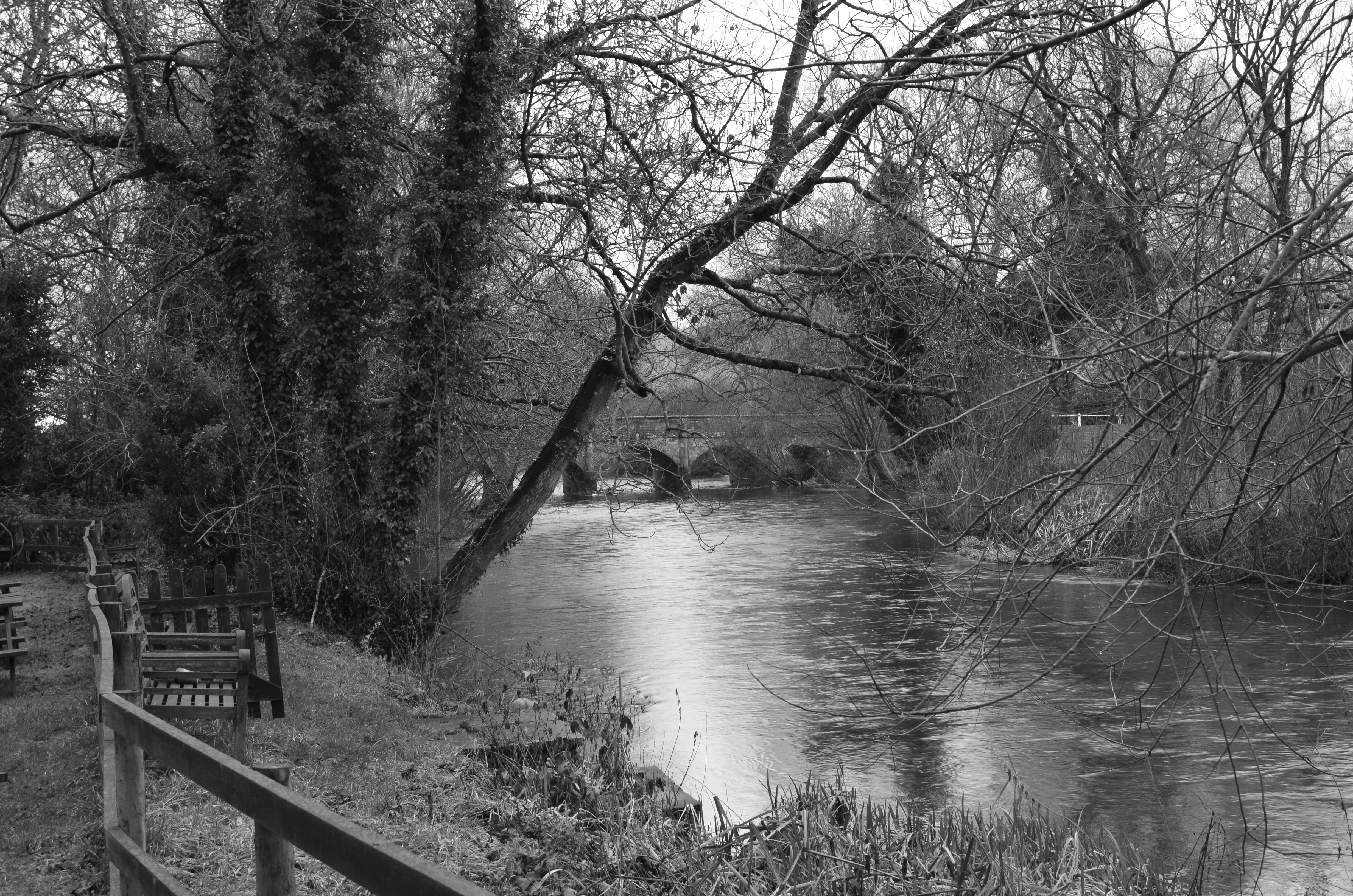 ./2018/15 - London/04 - Day 4/CSC_0558.JPG